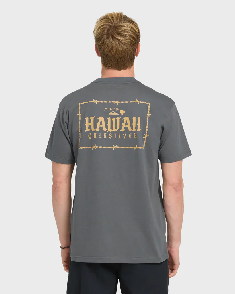 QUIKSILVER HAWAII LOCK TEE - IRON GATE (KZM0) - Image 3