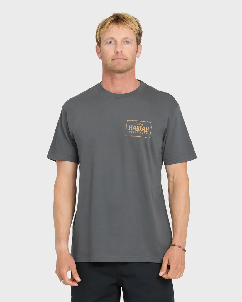 QUIKSILVER HAWAII LOCK TEE - IRON GATE (KZM0) - Image 4